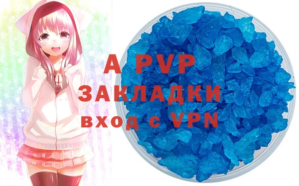 ПСИЛОЦИБИНОВЫЕ ГРИБЫ Горно-Алтайск