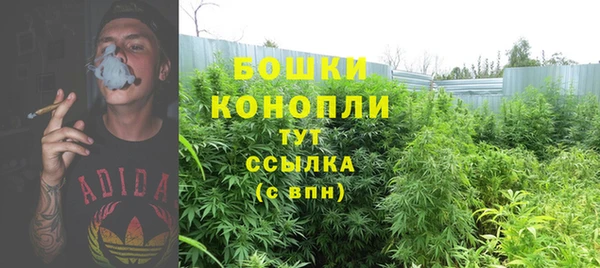 прущий лед Михайловка