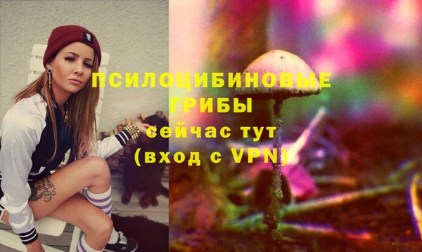 прущий лед Михайловка