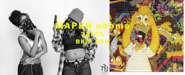 ПСИЛОЦИБИНОВЫЕ ГРИБЫ Горно-Алтайск