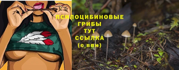 мдма Горнозаводск