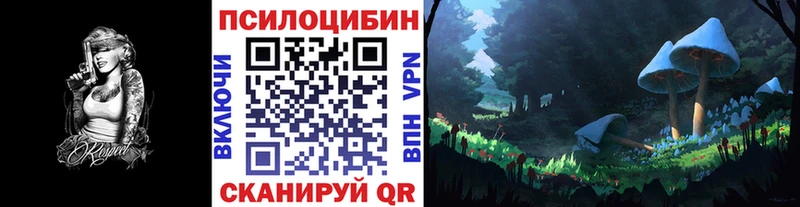 Псилоцибиновые грибы MAGIC MUSHROOMS  дарнет шоп  Данков 